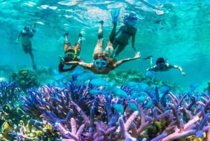 Gili Islands: Underwater Statues Cruise and Snorkeling