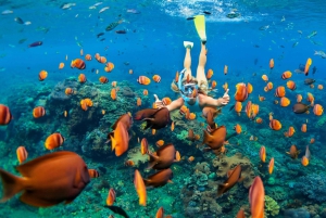 Gili Kondo, Gili Kapal and Gili Lampu Snorkeling Day Trip