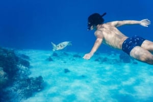 Gili Kondo, Gili Kapal och Gili Lampu Snorkling Dagsutflykt