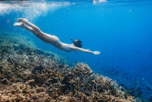 Viagem de 1 dia para fazeres snorkeling em Gili Kondo, Gili Kapal e Gili Lampu