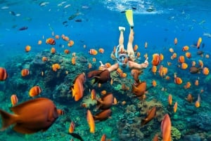 Dagtrip snorkelen op Gili Kondo, Gili Kapal en Gili Lampu