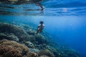 Viagem de 1 dia para fazeres snorkeling em Gili Kondo, Gili Kapal e Gili Lampu