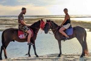 Gili Meno: 1 Hour Beach Horseback Riding with Hotel Transfer