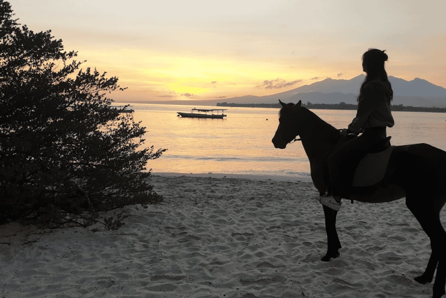 Gili Meno: 1-Hour Beginner Horse Riding Experience