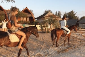 Gili Meno: 1-Hour Beginner Horse Riding Experience