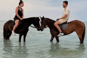 Gili Meno: 1-Hour Beginner Horse Riding Experience