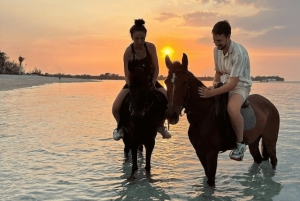 Gili Meno: 1-Hour Beginner Horse Riding Experience