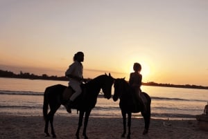 Gili Meno: 1-Hour Beginner Horse Riding Experience