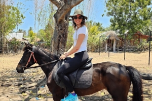 Gili Meno: 1-Hour Beginner Horse Riding Experience