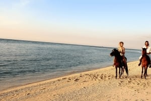 Gili Meno: 1-Hour Beginner Horse Riding Experience