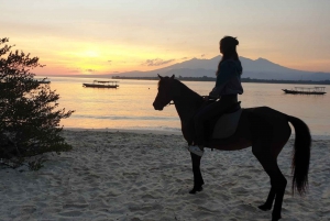 Gili Meno: 1 times eventyr på hesteryg