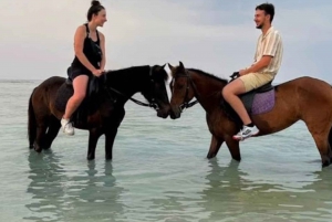 Gili Meno: avventura a cavallo di 1 ora