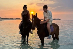 Gili Meno : 1 heure d'aventure à cheval