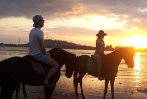 Gili Meno: Aventura de 1 hora a caballo