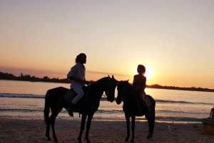 Gili Meno: avventura a cavallo di 1 ora