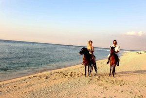 Gili Meno: Aventura de 1 hora a caballo