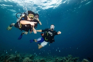 Gili Meno: Discover Scuba Diving for the first time