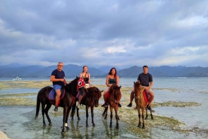 Gili Meno : Stable Beach Ridning på stranden