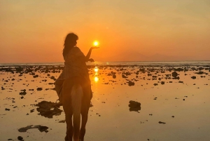 Gili Meno : Randonnée à cheval sur la plage de l'écurie