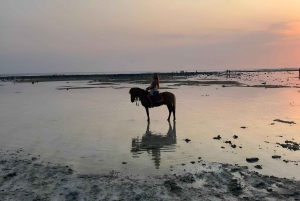 Gili Meno: Jazda konna na stabilnej plaży