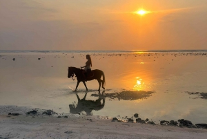 Gili Meno : Ratsastus ratsastustallilla rannalla