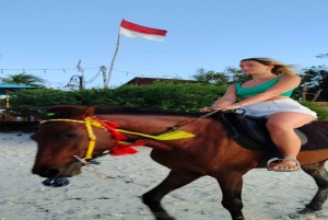 Gili Meno : Passeio a cavalo na praia estável