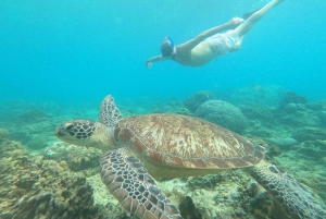 Gili-Schnorcheltour mit GOPRO, besuche das Schildkrötenschutzgebiet