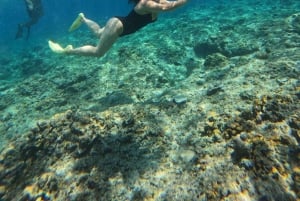 Gili Schnorchel Tour mit GO PRO Dokumentation