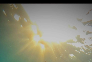 Gili Schnorchel Tour mit GO PRO Dokumentation