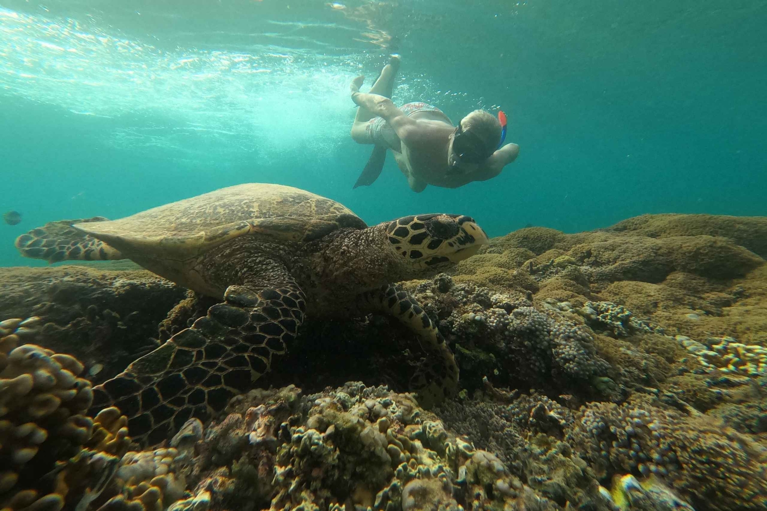 Gili Snorkeling Tour With GOPRO, Visit Turtles Sanctuary