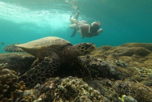 Gili Snorkeling Tour With GOPRO, Visit Turtles Sanctuary