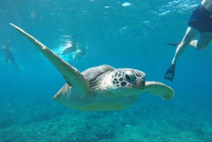 Gili Snorkeling Tour With GOPRO, Visit Turtles Sanctuary