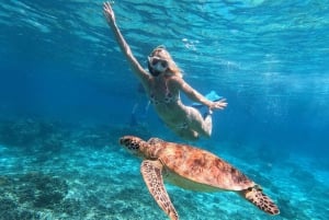 Snorkling på 3 öar och sköldpaddsreservat Gopro ingår