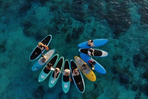 Gili SUP Or Kayak With Drone Shoot . Daylight Or Sunrise