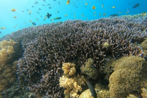 Gili T Eiland: Het opwindende snorkelavontuur bij zonsondergang