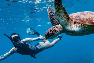 Gili T Island: Det spændende snorkeleventyr ved solnedgang