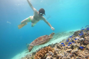 Gili T Island: Det spennende snorklingseventyret ved solnedgang