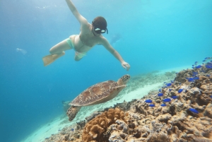 Gili T Island: The Thrilling Sunset Snorkeling Adventure