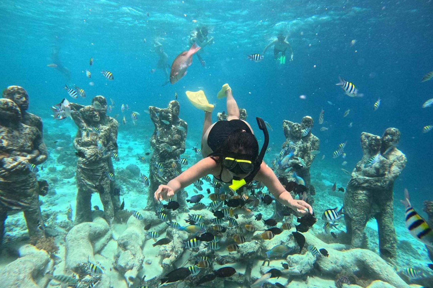 GILI T : PRIVAT SNORKELTUR 5 TIMER 3 GILI