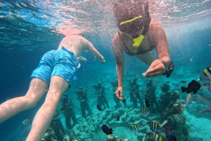 GILI T : GITA PRIVATA DI SNORKELING DI 5 ORE 3 GILI