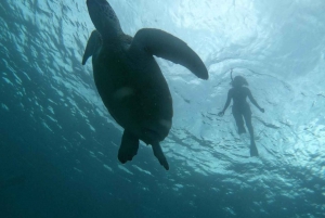 GILI T : EXCURSIÓN PRIVADA DE SNORKEL 5 HORAS 3 GILI