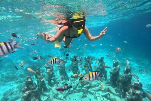 GILI T : EXCURSIÓN PRIVADA DE SNORKEL 5 HORAS 3 GILI