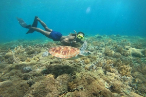 Gili T : Shared group snorkeling trip