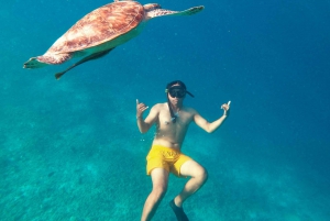 Gili T : Shared group snorkeling trip