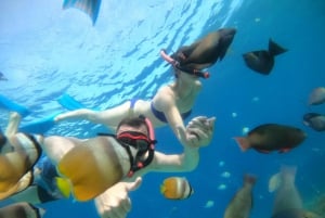 Gili T : Small group snorkeling trip