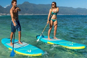 Gili T: Stand Up Paddle & Kayak Adventure in Serene Waters