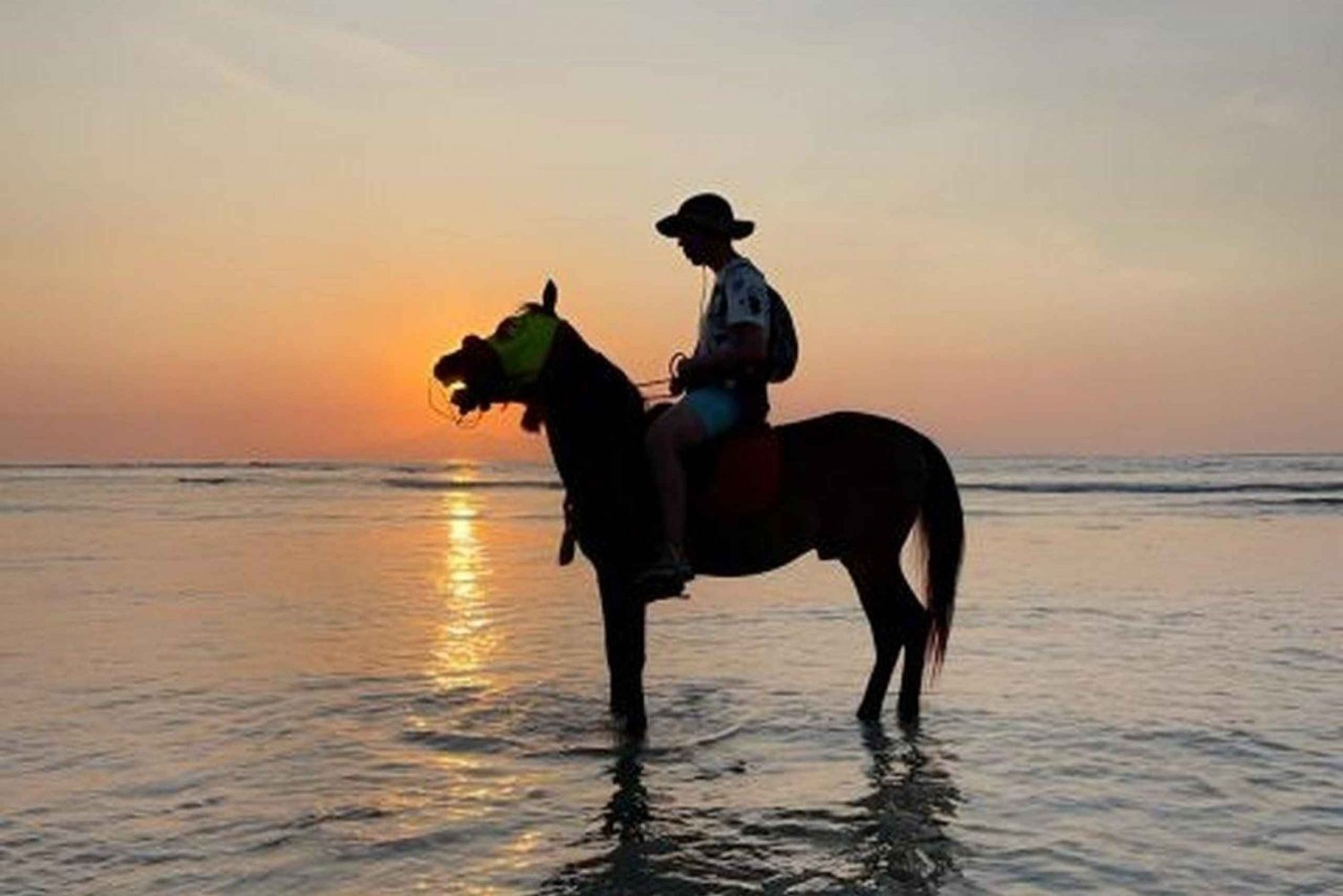 Gili Trawangan: Beach Horseback Riding with Hotel Transfer