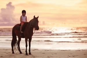 Gili Trawangan: Beach Horseback Riding with Hotel Transfer