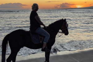 Gili Trawangan: Beach Horseback Riding with Hotel Transfer