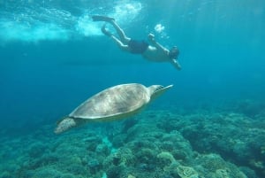 Gili Trawangan Best Snorkeling Trip With GOPRO documentation